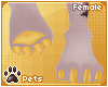 [Pets] Kaisila | feet F