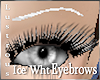 ^L~ Ice Rose Brows