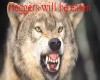 beggers will be eat wolf