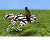 !S!Zebra Safari Ride