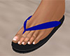 Blue Flip Flops 5 (F)