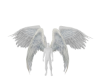 (7K)AnimDouble WhiteWing