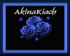 AkinaKiach Club