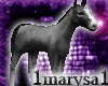 -dark- horse