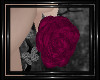 !T! Hangers | Roses P