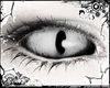 𝓐. Serpent ⚤ Winter