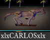 xlx Horse Path animated