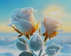 WHITE ROSES ON LIGHT BLU