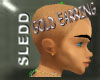 [SLEDD] Gold Earring x2