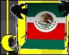 Mexican Flag Photoshoot