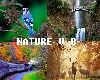 Nature v.b