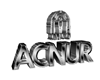 CAE ACNUR Logo