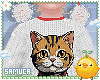Kid 🐈Kitten Sweater M