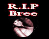 Long RIP Bree Shirt (m)