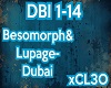 "Dubai"