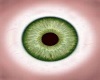 MI Green Eyes 3