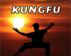 Kungfu