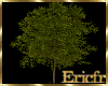 [Efr] Real Tree III v2