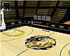 APAl Basketball Gym