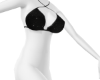 !MD Top Animated