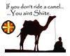 Shiite Camel - Black