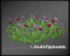 Spring Flowers