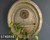 Hanging Planter