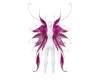 Fairy pink