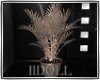 {lD} Lounge Plant