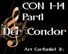 Der Condor part1