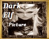 *Dark Elfe* /Picture