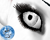 [S]DkPtel Grey Eye {F}