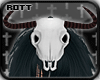 [Rott] Bovine Skull