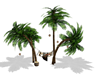 DL Palm hammock