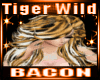 Tiger Wild Burst Hair