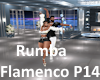 RumbaFlamenco P14