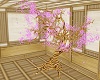 {TWP} Sekura Tree
