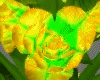 Roses + Glow + Particles