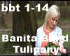 Banita Band - Tulipany