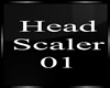 }CB{ Head Scaler 01