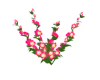 Glowing Lavatera Ivy