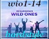 (shan)wio1-14 wild ones