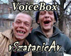 vS voicebox