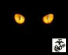 DJ Black Cat Eyes Dome