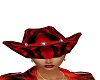 RedZebra Cowboy/girl hat