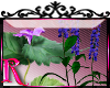 *R* Purple Plants ENH