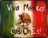 MEXICO/MEJICO T-SHIRTS