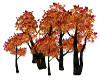 '20 Fall Tree Cluster V1