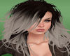 Ombre Black and Silver