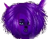 Royal Purple Lioness